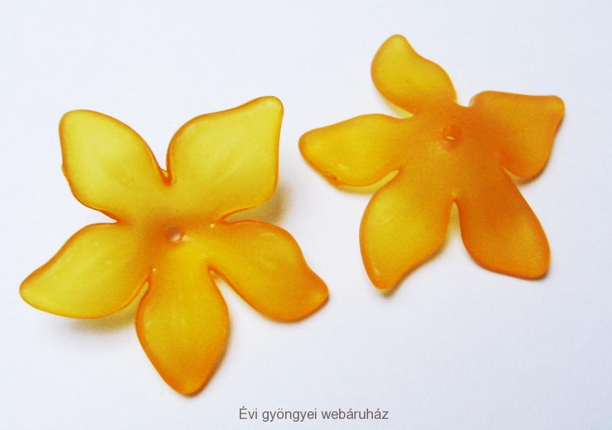 Nárciszvirág - narancs